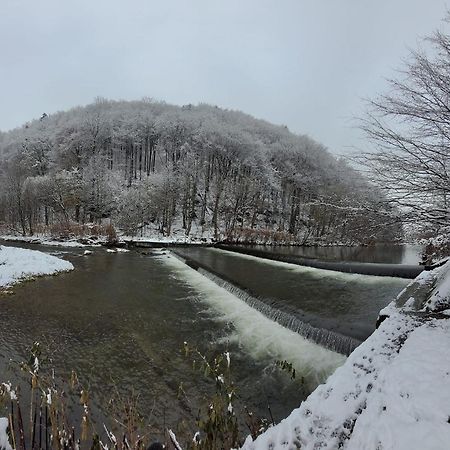 Goscinny Dom Ustron Dış mekan fotoğraf